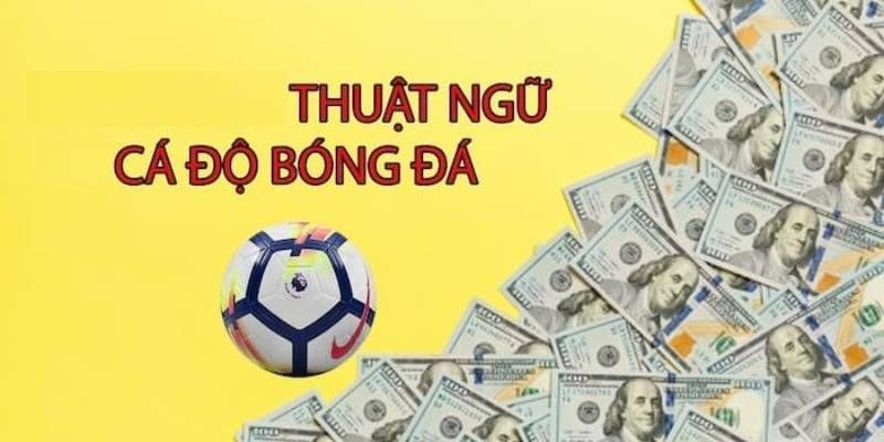 Tổng Hợp Các Thuật Ngữ Cá Độ Bóng Đá Phổ Biến Tại Jun88 6 Khái niệm về thuật ngữ cá độ bóng đá Jun88